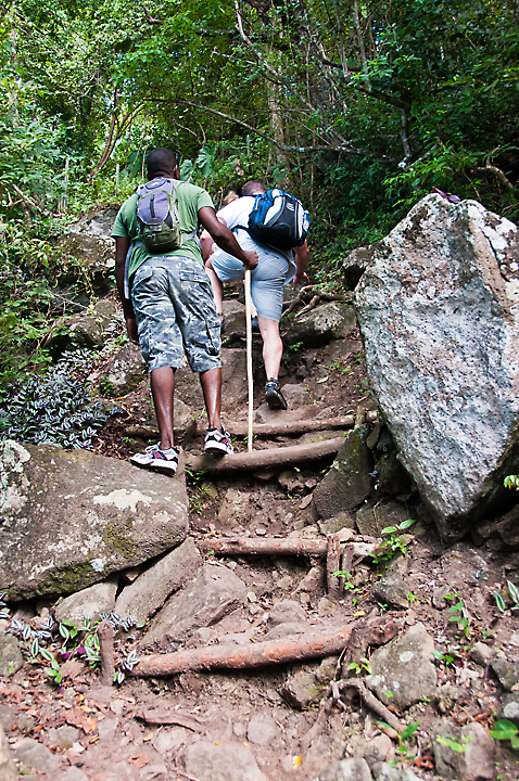 The Gros Piton Nature Trail